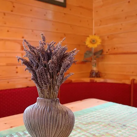 House Olga Chalet Crni Lug