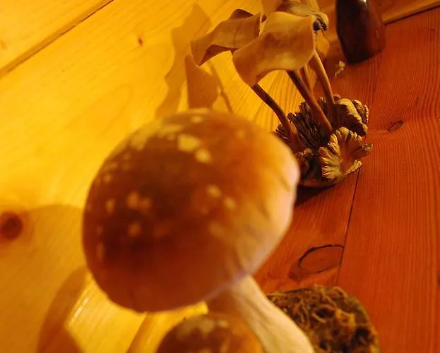 House Olga Chalet *